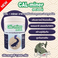 แคลเซียมอาหารเสริมปลาดุก 1000 G กระตุ้นการกิน และการเจริญเติบโต ดูดจับสารพิษ CAL-miner ปลาทุกชนิด ช่วยย่อย ลดปัญหาเรื่องลำไส้