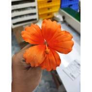 Gumamela Orange edible flower cake topper Gumpaste Flower sugar flowers edible flower