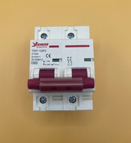 aptomat 1 chiều DC cho pin lưu trữ 1000V 2P 125A PV