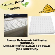 Hydroponic Sponge 400pcs BUNDLE rockwool Hidroponik sponge Span pot system pipe Germination seedling