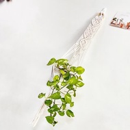 Macrame 植物吊籃【Macrame Plant Hanger】