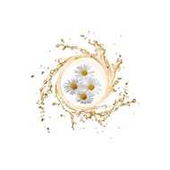 [Shunyi Chemical] French Chamomile Extract German 30g 100g Roman [DDD]