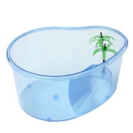 Turtle Tank Mango Small 20x15x10cm Vivarium Aquarium Turtle - Nomoy NX-12 S Blue