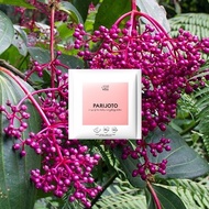 Parijoto Tea Bags (1 Pcs Tea Bag SACHET)