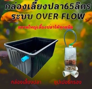 อ่างเลี้ยงปลา 65 ลิตร overflow แถมซุปเปอร์กรอง ระบบเปิดปิดน้ำ กะบะเลี้ยงปลา อ่างเลี้ยงปลา อ่างเลี้ยง