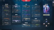 Valorant account 特戰英豪鑽石帳號