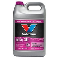 Valvoline - Valvoline OEM 40 50/50 恆溫冷卻液 / 水箱水 1 Gal (原裝行貨)