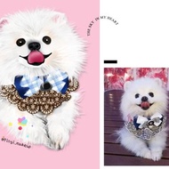 寵物狗畫像肖像畫毛孩似顏繪((博美/浪浪/幼犬/Pomeranian/松鼠狗