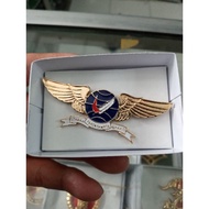 Brevet wing sandi