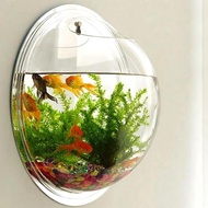 Aquarium Dinding, Aquarium Bulat, Aquarium Unik, Aquarium Minimalis,