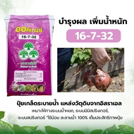 ปุ๋ยเกล็ด ออร์คิเดนซ์ ปุ๋ยเกล็ด 16-7-32 สีชมพู 25 kg. เกล็ดละลายน้ำ ปุ๋ยละลายน้ำ ปุ๋ยระบบน้ำ ปุ๋ยแตง