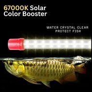 Solar Color Enhancer Light LED Submersible 6700K Tanning Light Lamp Arowana金龙鱼灯