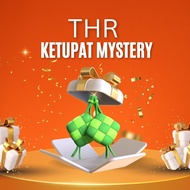 Paket THR Mystery Box