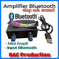 5Volt 2 Channel Bluetooth mini Amplifier