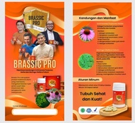 Brosur atau pamflet produk brasic pro 20x10