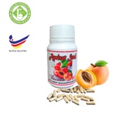 HOT KAPSUL APRICOT ( APRICOT SEED  HIGH VITAMIN B17 )