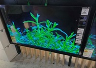 🔥55吋 Bravia 7 MiniLed 特平$7000 (原價$19980) SONY 55吋 BRAVIA 7 55XR70 K-55XR70 4K 120HZ MINILED 香港行貨 SON