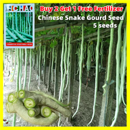 เมล็ดพันธุ์ บวบงูขาว Long Snake Gourd Seed - เมล็ดพันธุ์ บวบงู ยาวยักษ์ พันธุ์ อนาคอนด้า บรรจุ 5 เมล็ด คุณภาพดี ราคาถูก ของแท้ 100% Giant Long Variety Python Snake Bean Seeds for Planting Vegetables Seeds White Snake Gourd Plants Seeds บอนสีหายาก บอนสี