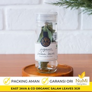 Freeze Dried Bay Leaves - 3g Bay Leaves - EAST JAVA CO