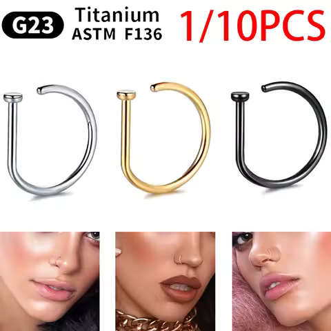 G23 Titanium G23 Titanium Nose Ring Piercing D-shaped Medical Tragus Helix Stud Hoop Earring Septum 