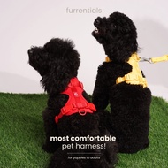 Furrentials Harness - GIPAWNCHY PETS Harness Dog Harness Cat Harness