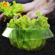 [Nanaaaa] Garden Plant Cloche Protective Bell Cover Fence for Vegetables,