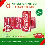 Coke Coca Cola Classic (24 x 320ml) Carton
