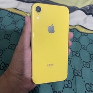 Iphone XR 256gb resmi Ibox