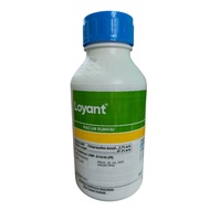 LOYANT (500ML) Racun Rumput Sambau / Racun Rumput Padi Burung / Racun Rumput Keladi Agas / Racun Rum