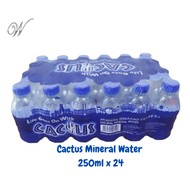 Cactus Mineral Water (250ml x 24)