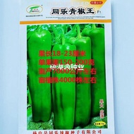 Tongle Green Pepper King Seeds Medium and Early Mature Big Fruit Thin Skin Cayenne Pepper Pepper Seed Agricultural Four