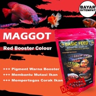 COD maggot bsf SUPER RED 100gr BASIC FEED | makanan ikan | pakan ikan predator arwana louhan