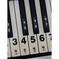 Key Sticker Piano 88 Key Electronic Keyboard 61 Key Key Sticker 54 Key 36 Key Large Transparent Univ