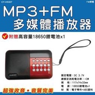 TW焊馬 MP3+FM多媒體撥放器 CY-H5307