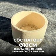 Anemone Cup Ø10cm Natural Sea Stone – Anemone Cup Supports Reef Penishment