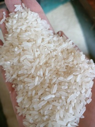 Beras Fortune Repack 1kg