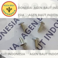 [100 Pcs Pack] 4x12 Pointed Screw Bolts 4x12 TSAT/