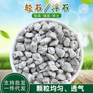 Direct Sales Pumice Stone Succulent Orchid Paving Stone Pad Bottom Mixed Soil Fish Tank Landscaping 
