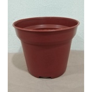 1 Round Plastic pot ( H8x W10X L7cm)
