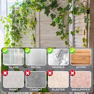 【WVH】-300PCS Plant Climbing Wall Fixture Clips Plant Vine Wall Clips Wall Plant Support Hook for Cli