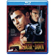 Night Chase Order From Dusk till Dawn BD