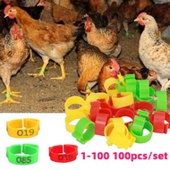 100pcs Cincin Klip Kaki Ayam - Gelang Kaki Ayam - Gelang Kaki Ayam Bebek Klip Plastik