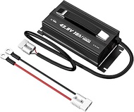 LiTime 43.8V 18A Lithium Battery Charger for 38.4V LiFePO4 Battery, AC-DC Smart Charger with 50A And