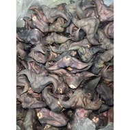 Large water chestnut tubers 1kg