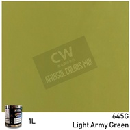 Army Green CW Aikka DIY Spray Gun 2K Paint & Aerosol Bottle Spray Kit 0.5Liter - 1Liter Hijau Army G