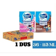 (Masterpiece) Frisian Flag Nutribrain Milky Susu 115ml 1 Dus Isi 36 Kotak Cokelat Strawberry All Var