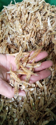 DRIED DILIS  / ANCHOVIES from MINDANAO