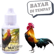 Nucleo Pigeon Chicken STAMINA Enhancer Vitamins