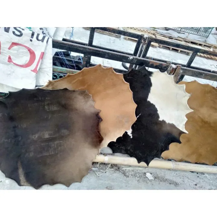 BEDUG / KULIT BEDUG / BEDUK SAPI TERMURAH UKURAN DIAMETER 60