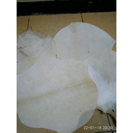 Popular Musical Instrument Leather Potato Tabla